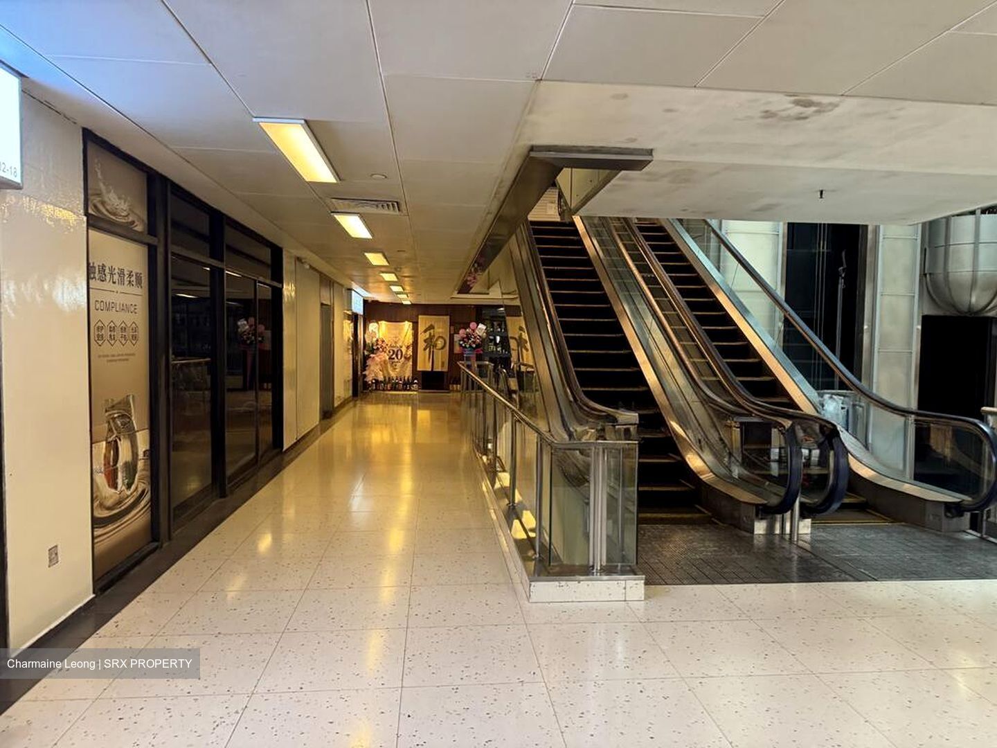 Cuppage Plaza (D9), Shop House #500972581